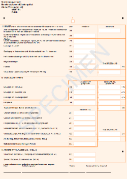 MWST Formular