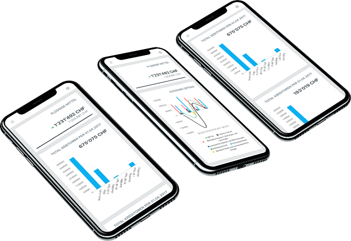 Online Buchhaltungs Service Mobile App