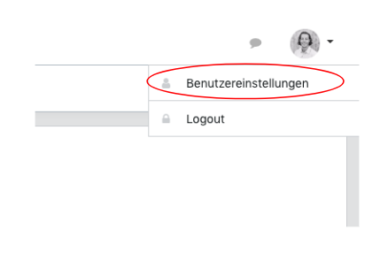 Benutzereinstellung Run my Accounts