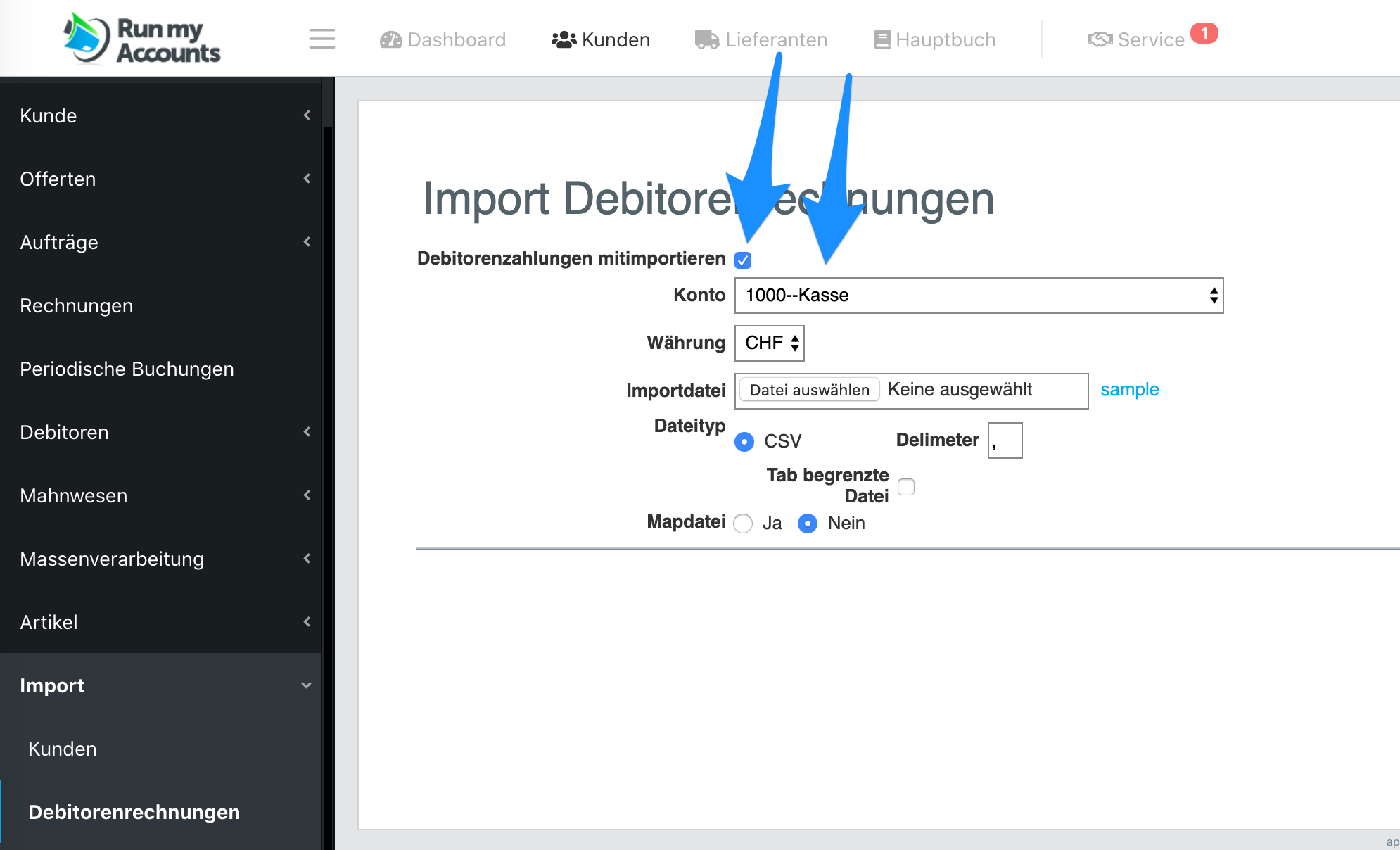 Debitorenzahlungen per csv importieren