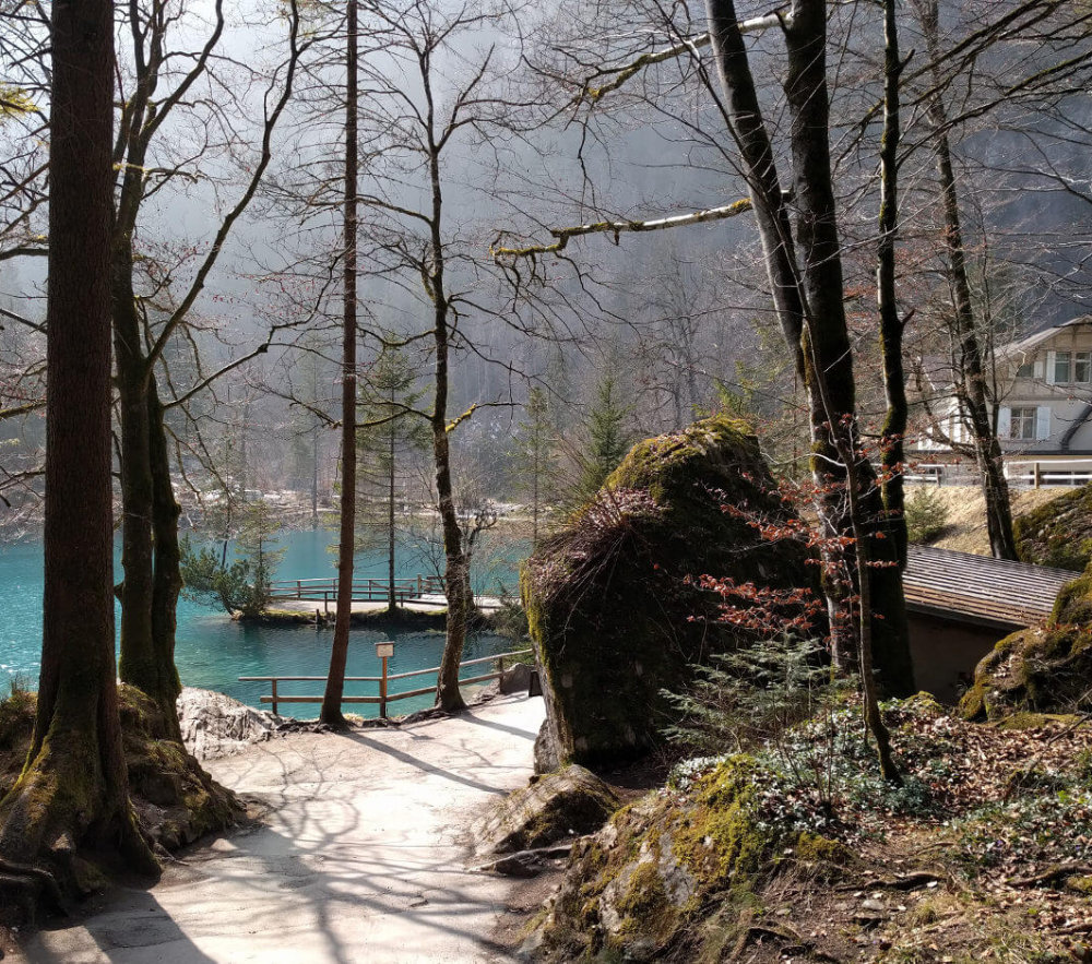 Blausee: Buchhaltung für die Gastronomie