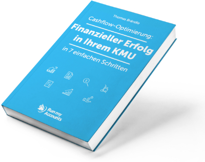 E Book Finanzieller Erfolg in Ihrem KMU Cashflow Optimierung