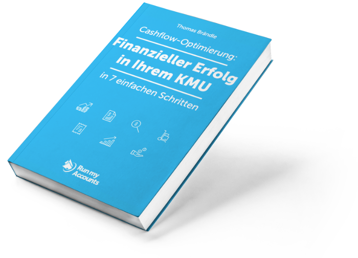 EBook Finanzieller Erfolg in Ihrem KMU Cashflow Optimierung