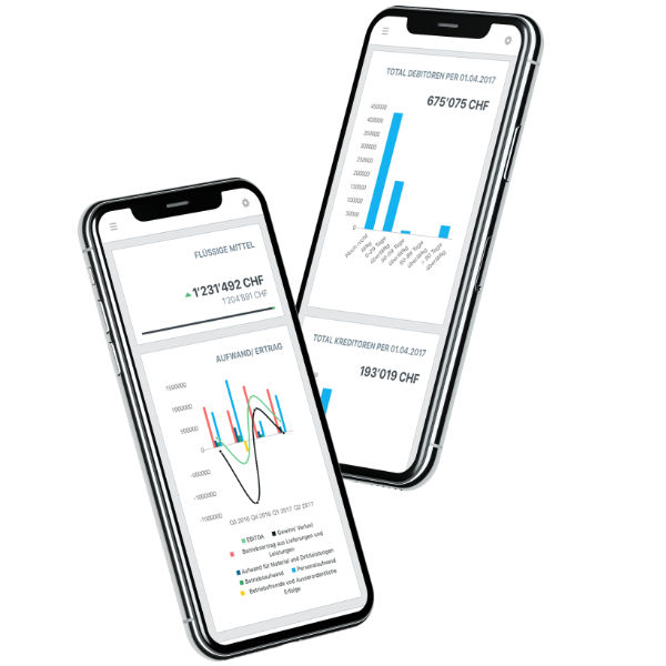 Online Buchhaltungs Software auf Mobile Dashboard