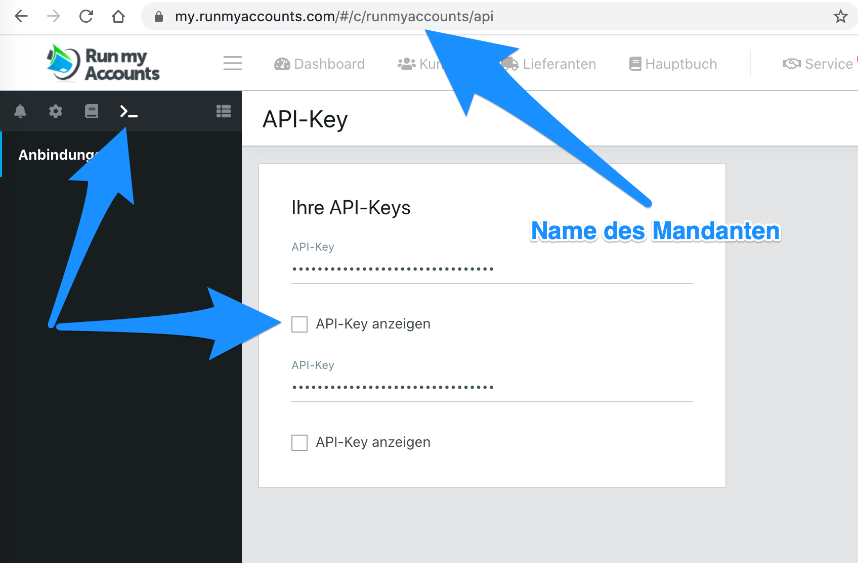 Run my Accounts API-Key Anzeigen